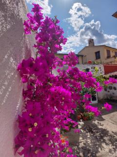 B&B Mes' Agustu - Galtellì - 7