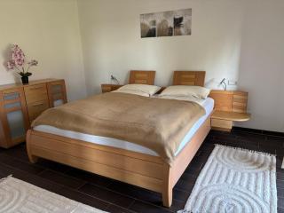 Gemütliche Ferienwohnung mit Sonnenterrasse - Schlitz - 3