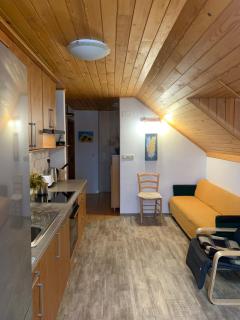 Apartma Pri Tavčarju - Poljane nad Škofjo Loko - 5
