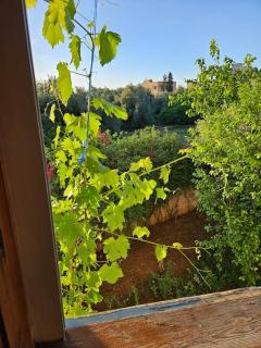 Le jardin d'habiba - 3