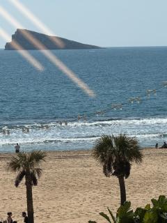 El Pato de Levante - Benidorm - 3