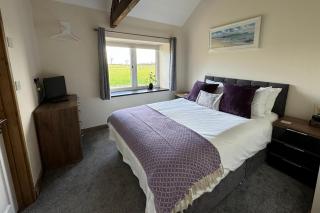 Copse View - Ashwater - 4