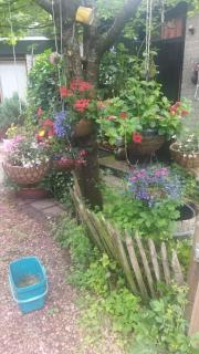 Bed and Breakfast Het Oude Bos - 5