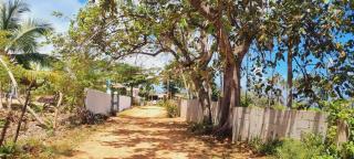 Playa Grande House - 6