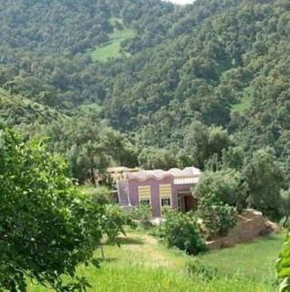 Park tazeka - Bistouna - 0