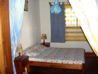 Bellevue sous les cocotiers - 1