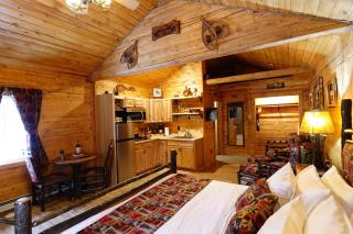 Moose-AKa's Cabins - Healy - 8