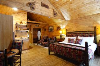 Moose-AKa's Cabins - Healy - 9