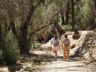 Surf and hike with Moroccan break - Agadir - 4