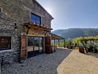 Il Frantoio, Loft rurale, con bbq e giardino in Pontifogno - Reggello - 0