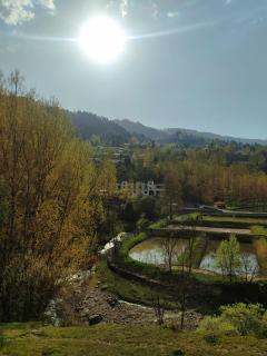 Hill View Resort - - 3