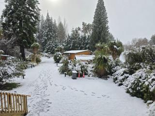 Meteor Suite for 3 - Parking Kitchenette - Lake Tekapo - 6