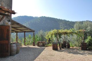 Il Frantoio, Loft rurale, con bbq e giardino in Pontifogno - Reggello - 8