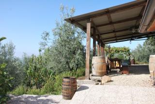 Il Frantoio, Loft rurale, con bbq e giardino in Pontifogno - 1