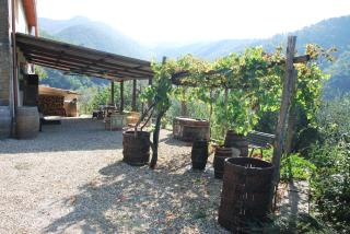 Il Frantoio, Loft rurale, con bbq e giardino in Pontifogno - Reggello - 7