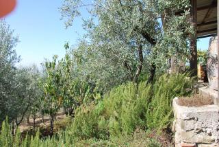 Il Frantoio, Loft rurale, con bbq e giardino in Pontifogno - Reggello - 5