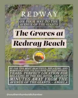 The Groves at Redway Beach - Studio - Redway - 2