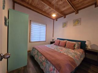 Tiny house - Coñaripe - 6