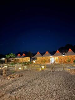 Desert Oasis Lodge in Wadi Rum - Disah - 3