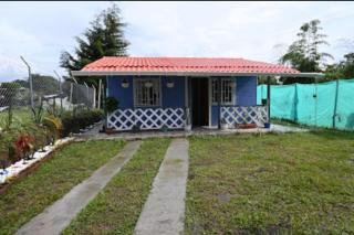 Mi pequeño jardin - Filandia - 0