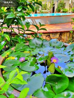 S79 Blue Paradise Pool Bungalow - Phu Quoc - 8