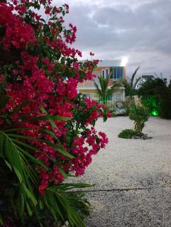 AVE FENIX Apartments - Punta Cana - 2