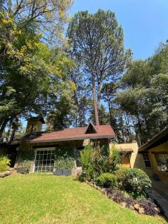 Firefly Valle de Bravo - 8