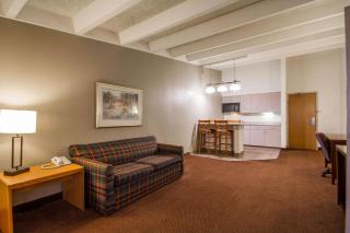 Comfort Inn & Suites Madison - Airport - Madison - 9