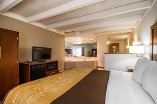 Comfort Inn & Suites Madison - Airport - Madison - 4