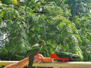 Centre of the Village - Kangaroo Valley - 6