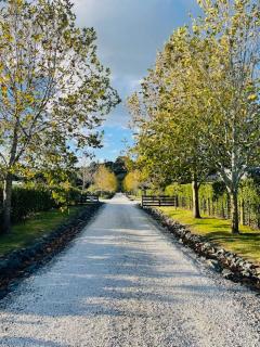 Beautiful Lakeview BnB Granny Flat in Gated Community Close to Mangawhai Beaches and Forest Walks - Mangawhai - 7