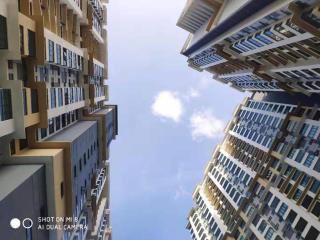 Arc austin hill by wendy - 2