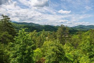 Bear Mountain View Cabin - Sevierville - 5