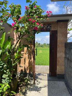 Uma Padi Villa - Ubud - 2
