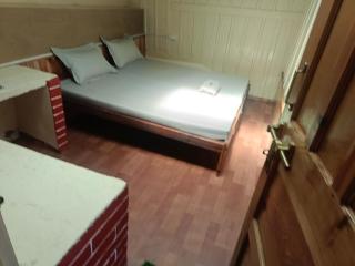 Duplex House Jibhi - 5