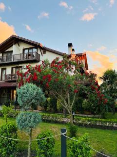 Cevizdibi Hotel - Masukiye - 0
