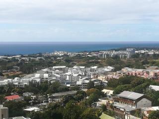 Le Panorama - Vue mer, Proche centre ville et CHU - Saint-Denis - 2