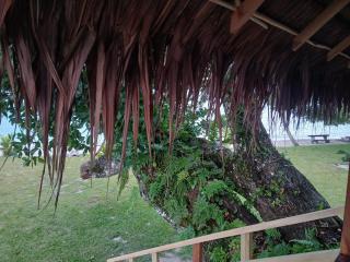 Serenity Treehouse 2 - Port Olry - 4
