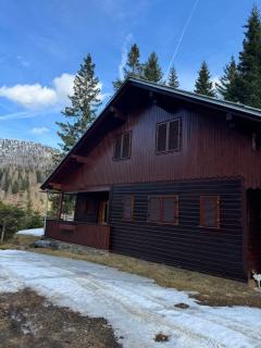 Meine Hütte in der Feldpann-ALm - Rauth - 0
