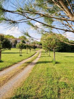 Gîte Vin'acacia - 9