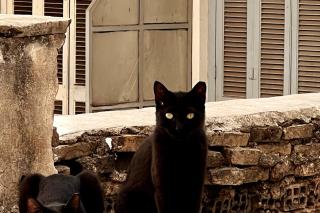 Quiet apartment in the centre of Athens - 4