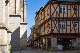 Ile Bailleron - T2 - centre-ville - Vannes - 3