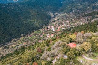 Guest House Amadryades - 6