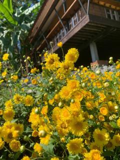 Tiny House on the Hill Farmstay - 3