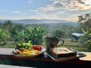 Tiny House on the Hill Farmstay - Ban Kat Khi Lek - 9