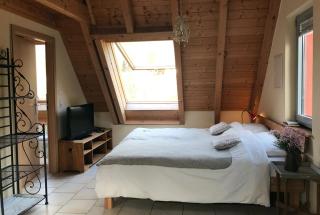 Landhotel Untere Mühle - Straßberg - 6