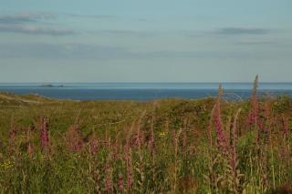 Cosy Seaside Cottage Baltimore - Ballylinchy - 6