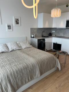 Executive Studio free street parking - 3