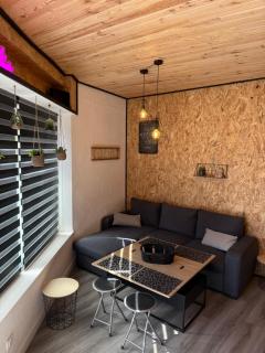 Nancy, Fun et Atypique ! - Laxou - 9