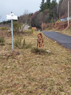 chambre basique, endroit magique - 7